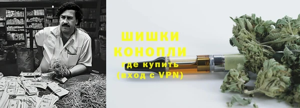 прущие грибы Богородск