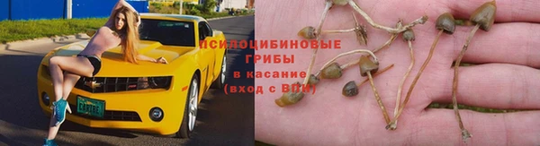 МДПВ Богданович
