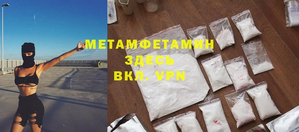 прущие грибы Богородск